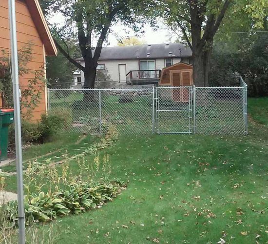 5 Galvanized Chain Link Fence Mn