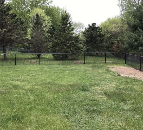 Black Chain Link Fence Mn (15)
