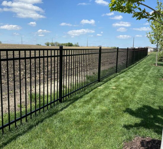 Ornamental Wrought Iron Fences Mn (15)