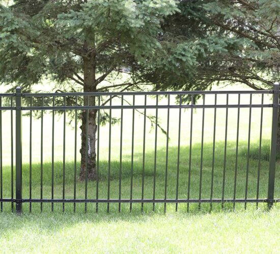 Ornamental Wrought Iron Fences Mn (2)2